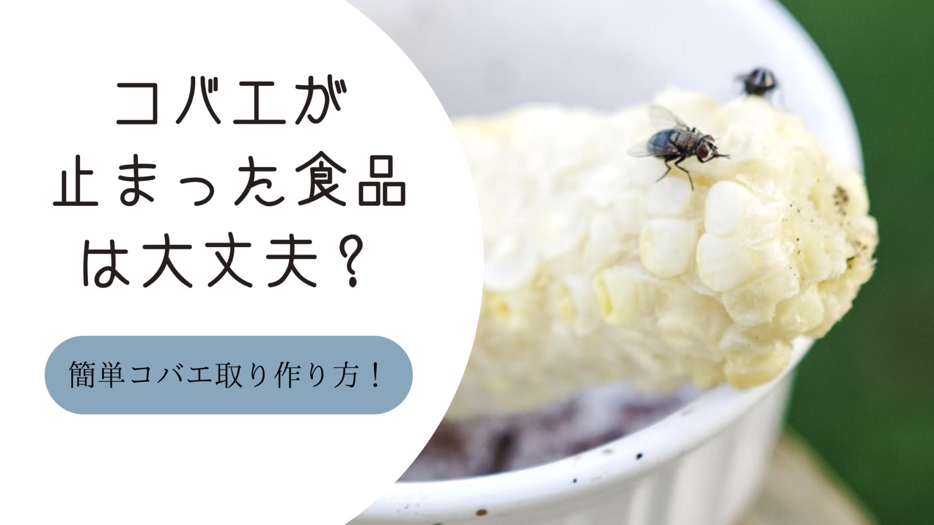 コバエが止まった食品は食べても大丈夫？すぐできるコバエ取りの作り方も解説！