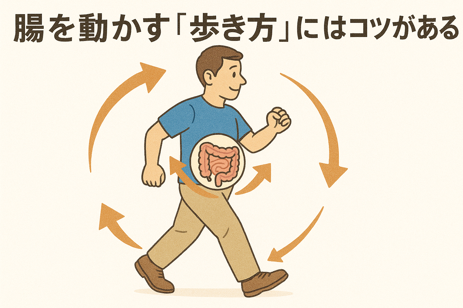「腸を動かす歩き方にはコツがある」というテーマをわかりやすく表現しています。 中央の人物は、元気に歩いている中年の男性。姿勢がよく、腕をしっかり振って歩いています。 お腹のあたりが透けて、中に腸のイラストが描かれており、腸内活動の重要性を示しています。 男性の体の周囲には、オレンジ色の矢印が大きく描かれ、全身の動きが腸に伝わっていることを示唆。 色味ははっきりしていて、背景はやや白っぽく明るく、ホワイトバランス5500K相当の自然光の雰囲気。